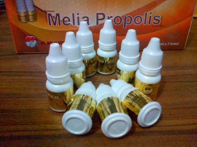 melia propolis