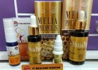 Agen Resmi Propolis Melia Biyang Di BALANGAN
