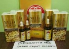 Agen Resmi Propolis Melia Biyang Di BANGKA