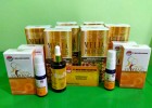 Agen Resmi Propolis Melia Biyang Di BATAM